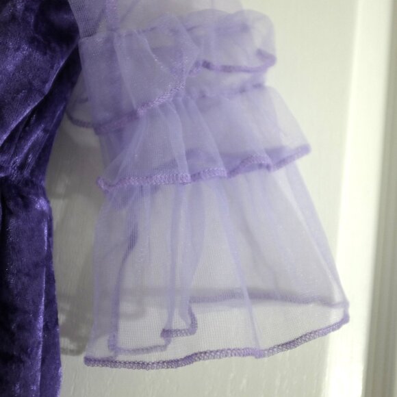 Teetot & co  Rapunzel Purple Costume Deluxe Mesh & Velvet Dress - Picture 4 of 9